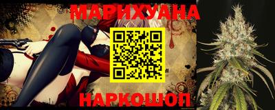 индика Новодвинск