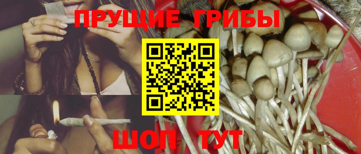Галлюциногенные грибы Magic Shrooms Серпухов