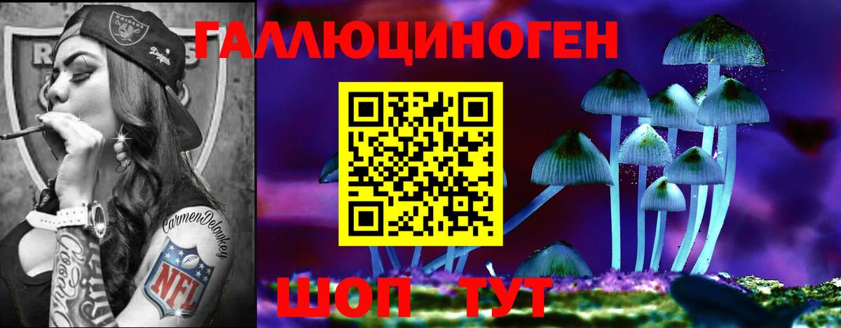 Псилоцибиновые грибы Psilocybine cubensis  Вход с VPN  Серпухов 